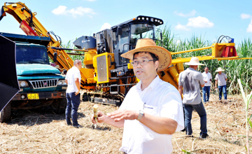 “鐵牛”“啃”甘蔗　“吸睛”又“吸粉”　柳工農(nóng)機公司甘蔗生產(chǎn)全程機械化產(chǎn)品受追捧