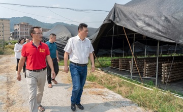 做強特色產(chǎn)業(yè) 賦能鄉(xiāng)村振興